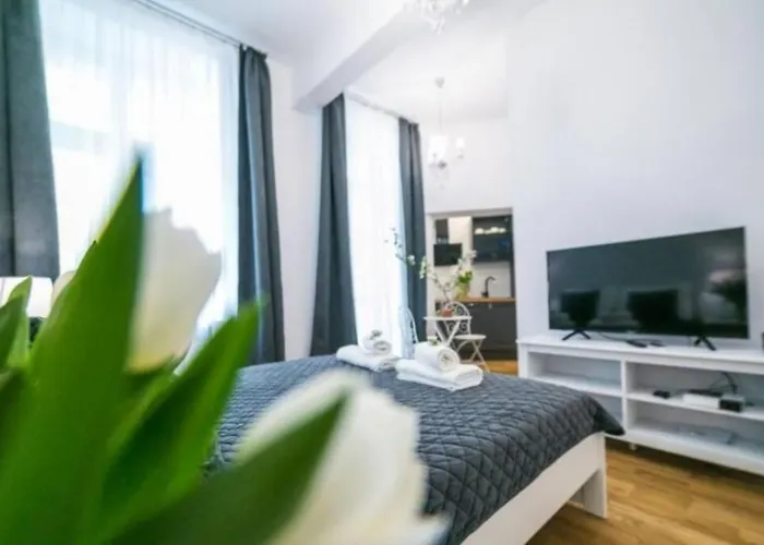 Charming ELITE Apartment Wielopole Krakow Old Town STUDIO